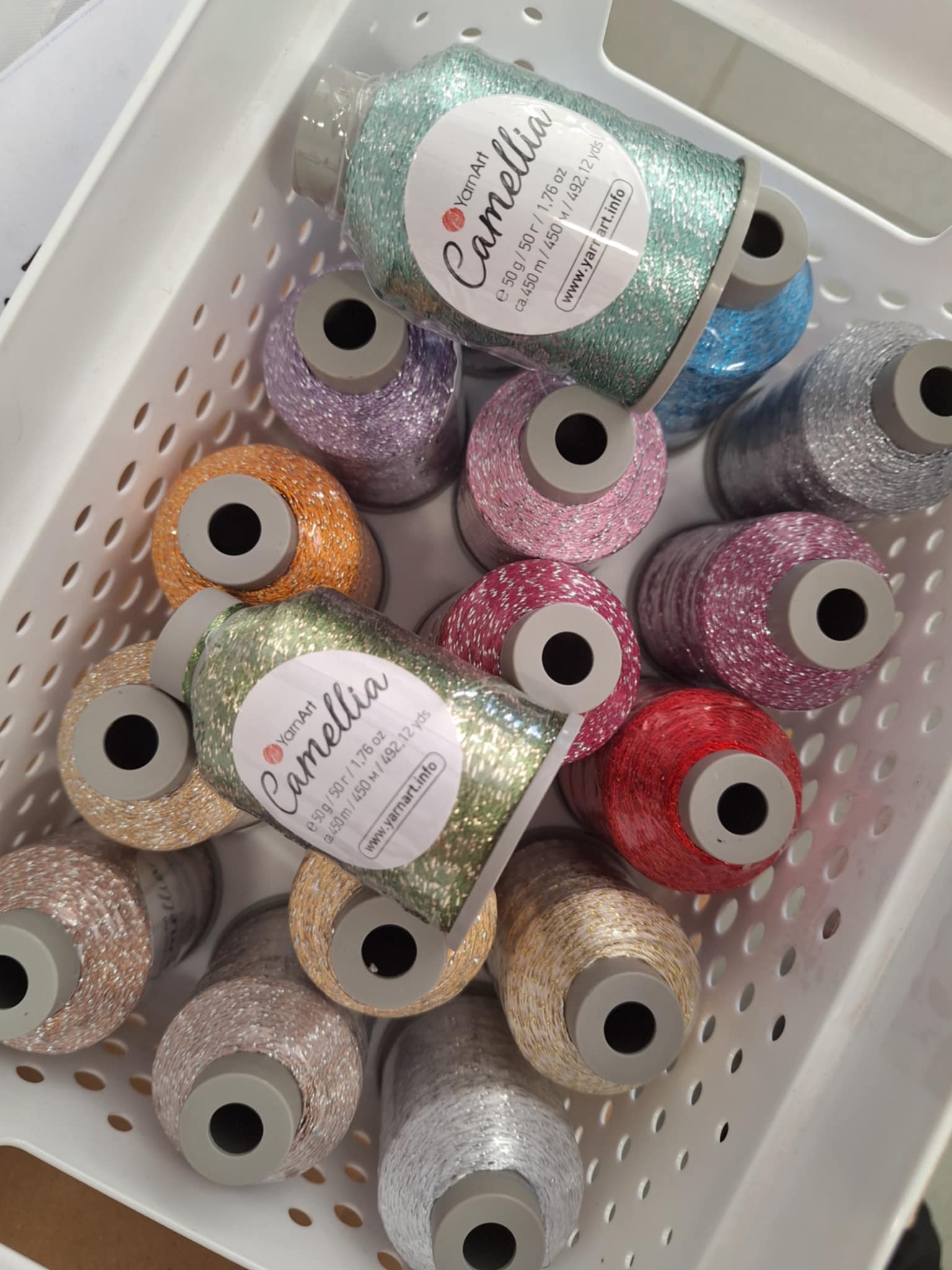 Camellia new